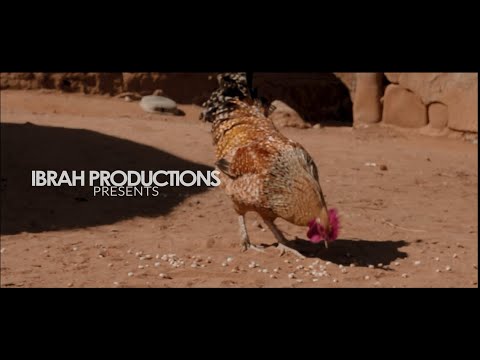 Teekay G - Ngangingafuni Befe (Official Music Video)