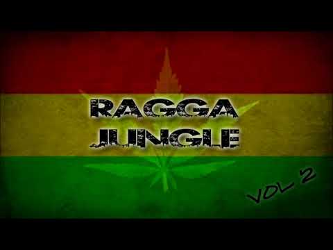 ragga jungle vol 2