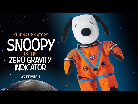 穿上史努比的衣服。史努比是零重力指示器 (Suiting Up Snoopy: Snoopy is the Zero Gravity Indicator)