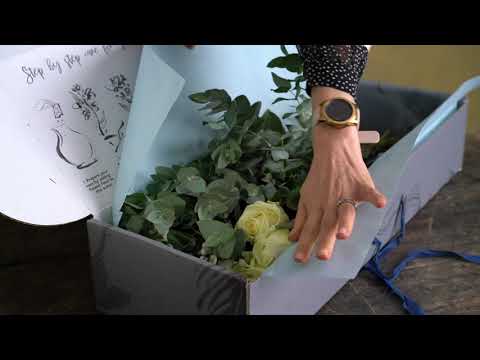 White Avalanche Roses and Pussy Willow - Subscription Flowers by Arena Flowers