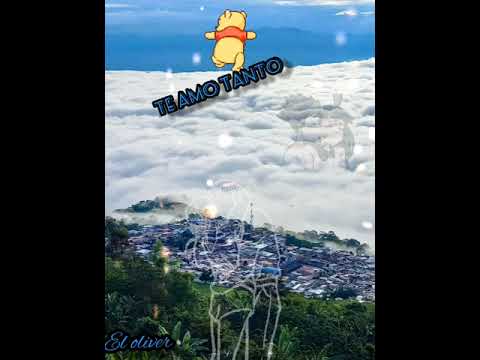 Te Amo Tanto - Grupo La Formula