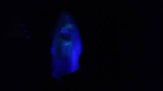 Magic Kingdom Haunted Mansion