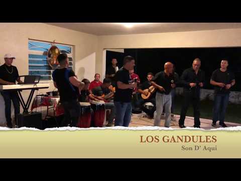 Parranda Puertorriqueña, Trulla -Los Gandules