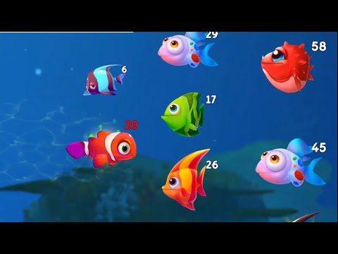 Hungry Fish Fishdom Gameplay level 16 Today's Special