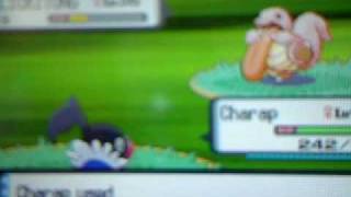preview picture of video 'The Cianeoin Pokemon Pearl Adventures!!!Episode3:Getting a Lickitung!!!'