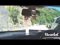 Himachal Drive Ll IIT MANDI