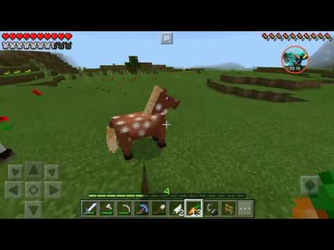 Sono stato grieffato [Coop Survival] #08