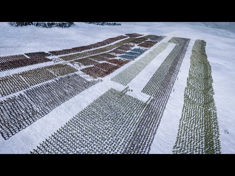 HUMANS vs DWARVES - Epic Fantasy Battle Simulator