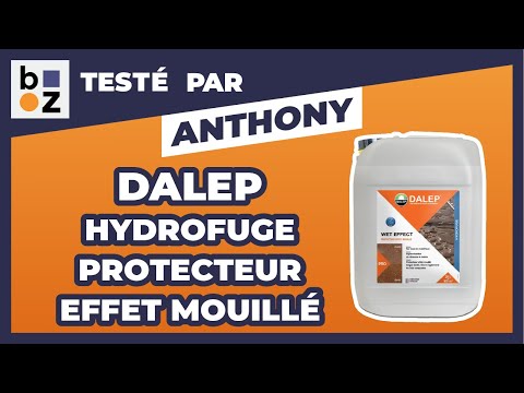 Hydrofuge protecteur – aspect effet mouillé – Wet Effect DALEP