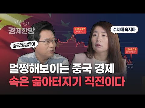 안유화교수님의 