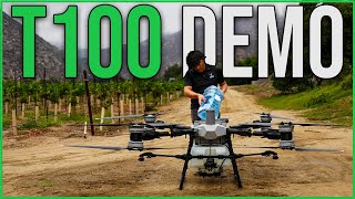 DJI Agras T100 Spray Demo | Vineyard
