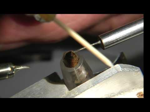 On the instrumental insemination of honeybees