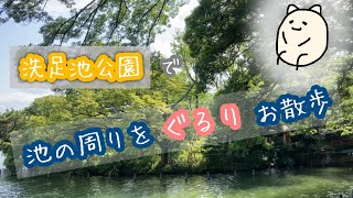 【散歩】洗足池駅徒歩2分 洗足池公園で池の周りをぐるりお散歩
