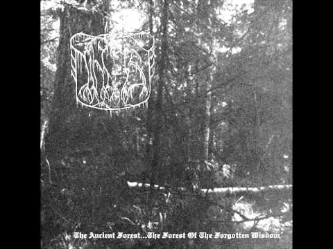 The True Nihilist - Ancient Forest