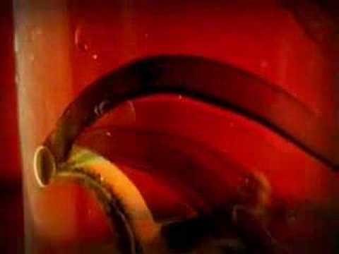 Ambivalent's "R U OK" music video, directed by Ali Demirel