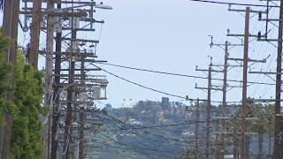 Hundreds of power poles in LA in need of immediate repairs