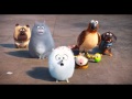Opening To Zootopia AMC Theatres 2016