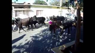 preview picture of video 'Asuncion Ixtaltepec - Toma de Agua de los Toros'
