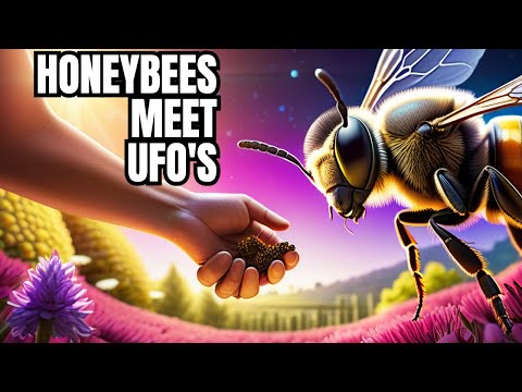 , title : 'From Honeybees to Aliens: Exploring Apiaries, Avariums, and UFO Phenomena'