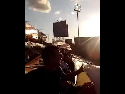 "Así se canta y se alienta en la tribuna de Platense." Barra: La Banda Más Fiel &bull; Club: Atlético Platense