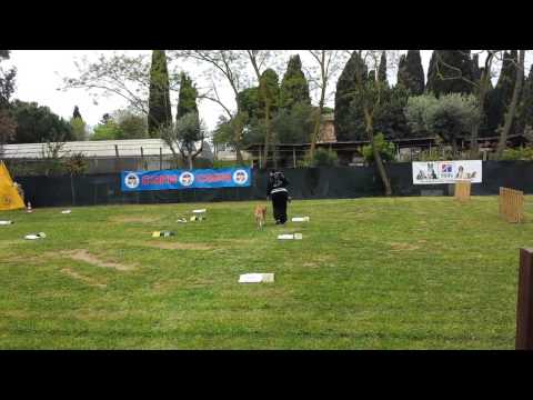 GARA RALLY O CSEN - 12.04.2014 - Wall-e