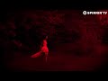 Vini Vici Timmy Trumpet 100 Feat Symphonic