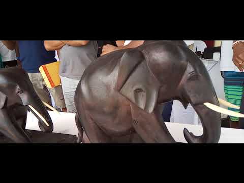 So Sri Lanka Pro 2019 International Surfing event, Arugam Bay, Sri Lanka