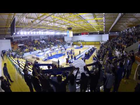 Cob Breogan 2015/2016