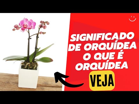 , title : 'Significado da flor Orquídea'