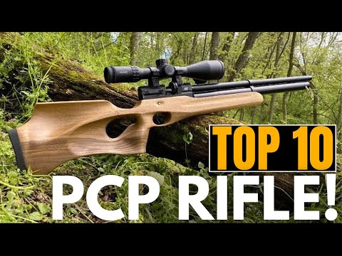 10 Best PCP Air Rifles of 2025 — Ultimate Performance & Buyer’s Guide