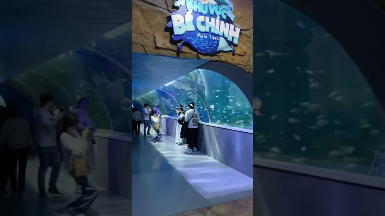 YouTube Short thumbnail