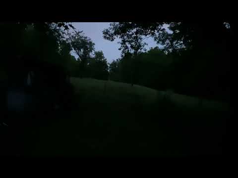 Sounds of the whippoorwills and Croakers and Fireflies lightening | great summer sounds |