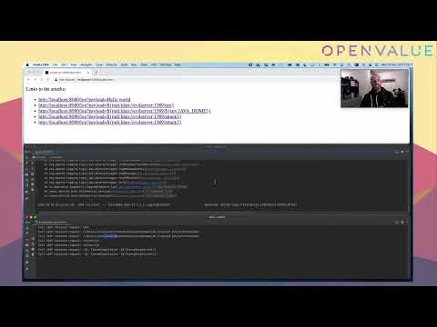 Understanding Log4Shell: vulnerability, attacks and mitigations by Roy van Rijn & Bert Jan Schrijver