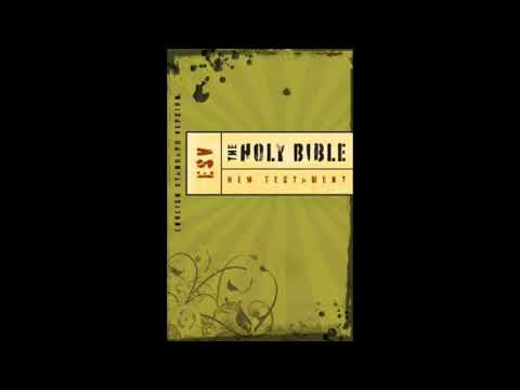 The Book Of Numbers - ESV