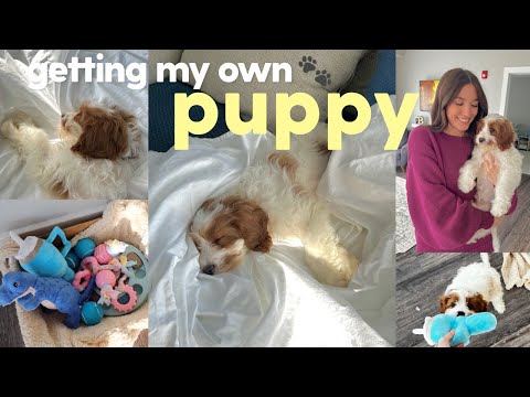FIRST WEEK WITH MY NEW PUPPY 🐶
