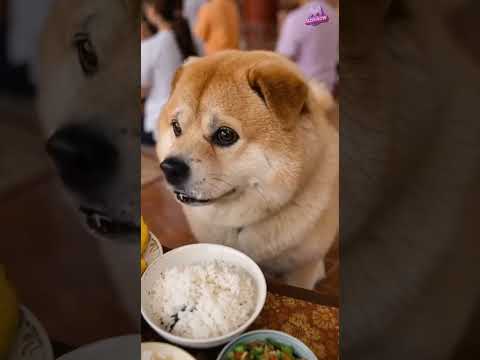 ทำบุญแต่ได้บาป #นิทานai