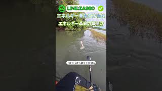 #日本株 #日経平均 #テクニカル分析 #投資戦略 #短期投資 #長期投資 #株初心者 #資産運用 #資産形成 #高配当株 #株価予測 #トレード初心者