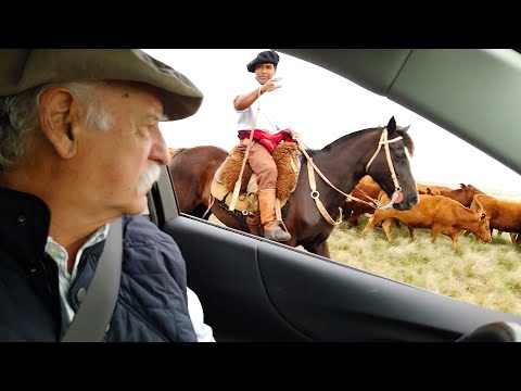 Americando | Programa completo (29/12/24)