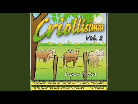 Chaparralito Llanero