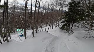 撮影してもらいました…慣れない森の中で追いかけるのが大変！