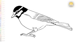 Download lagu African Blue Canary Bird drawings easy | Birds sketches | How to draw African blue tit step by step mp3 Download lagu African Blue Canary Bird drawings easy | Birds sketches | How to draw African blue tit step by step mp3