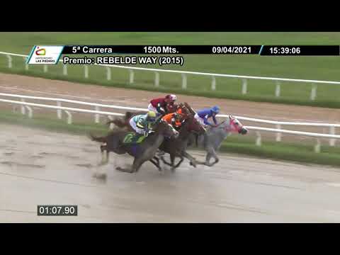 210409 c05 - LUSTRABOTAS - HIPODROMO LAS PIEDRAS