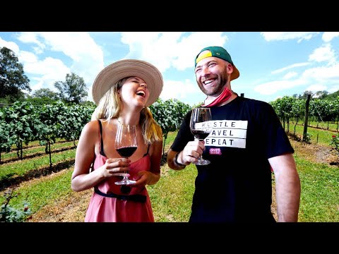 A MELHOR EXPERIÊNCIA NA PAÍS DO VINHO BRASILEIRO!! Tour de Degustação de Vinhos do Vale dos Vinhedos | Brasil