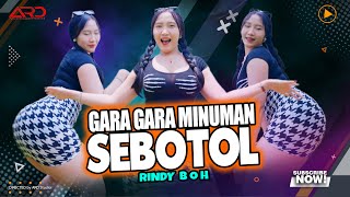 Download lagu Gara Gara Minuman Sebotol - Rindy BOH mp3