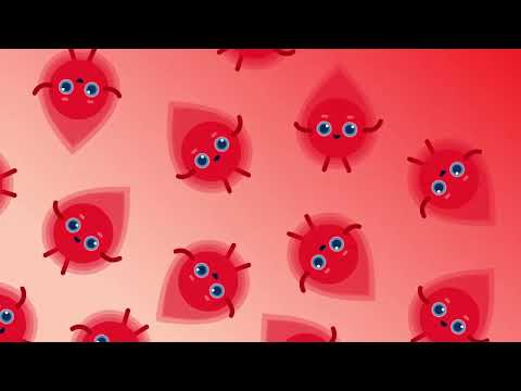 Kurzgesagt In a Nutshell! The Last Light Before Eternal Darkness White Dwarfs and Black Dwarfs