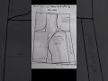 Princess Cut Blouse Drafting 42 Size
