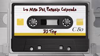 La Niña Del Pañuelo Colorado (Trip Mix) - Los Del Río | DJ Trip