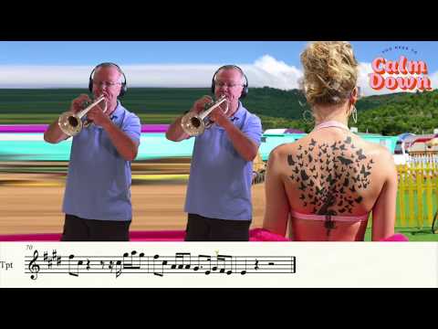 You Need To Calm Down (Trumpet Cover)