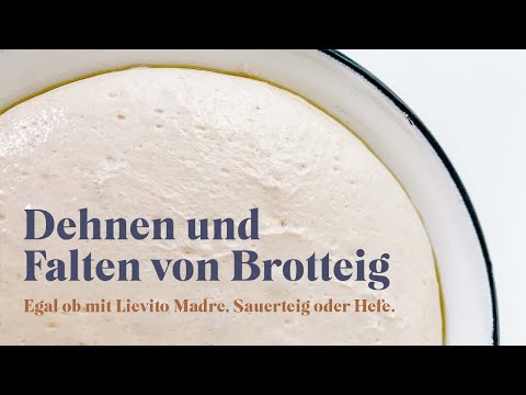 Brotteig Dehnen und Falten