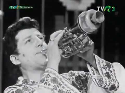 Constantin Gherghina si Luca Novac ( Arhiva 1979 )